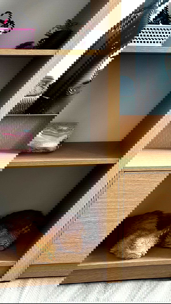 oqr0_ oqr0_ archive image