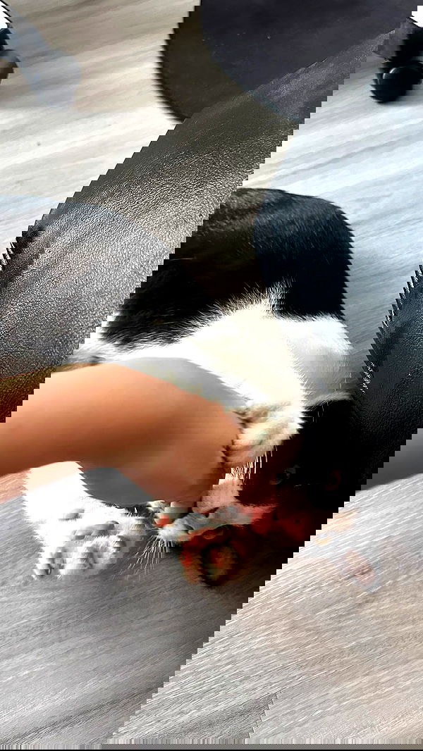 oqr0_ oqr0_ archive image