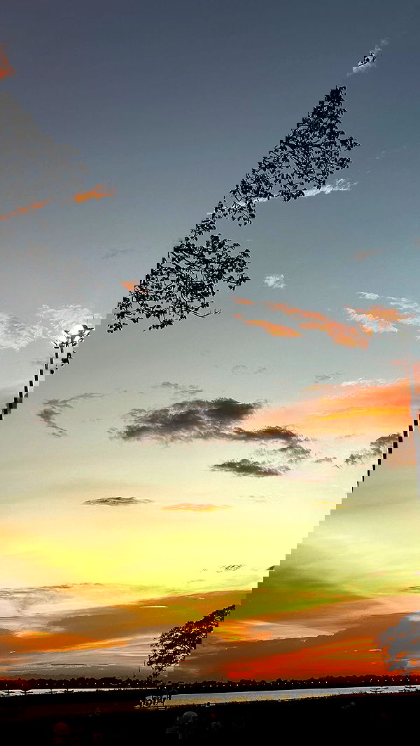 oqr0_ oqr0_ archive image