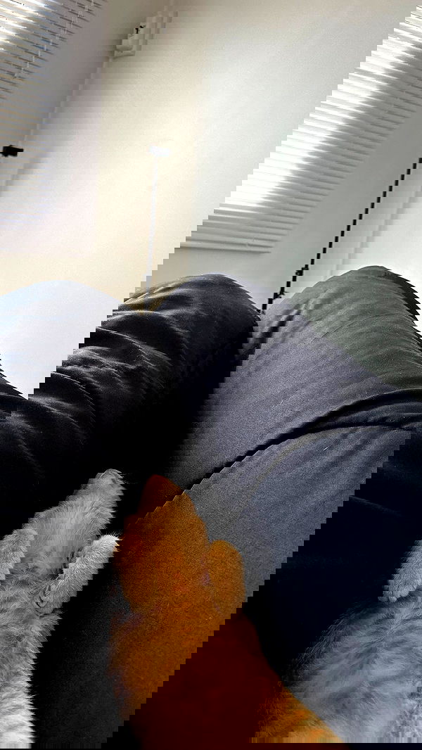 oqr0_ oqr0_ archive image