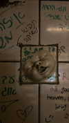 or_hasid Altpins Profile Picture
