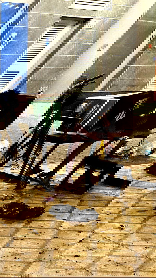 orchidmurmur orchidmurmur archive image