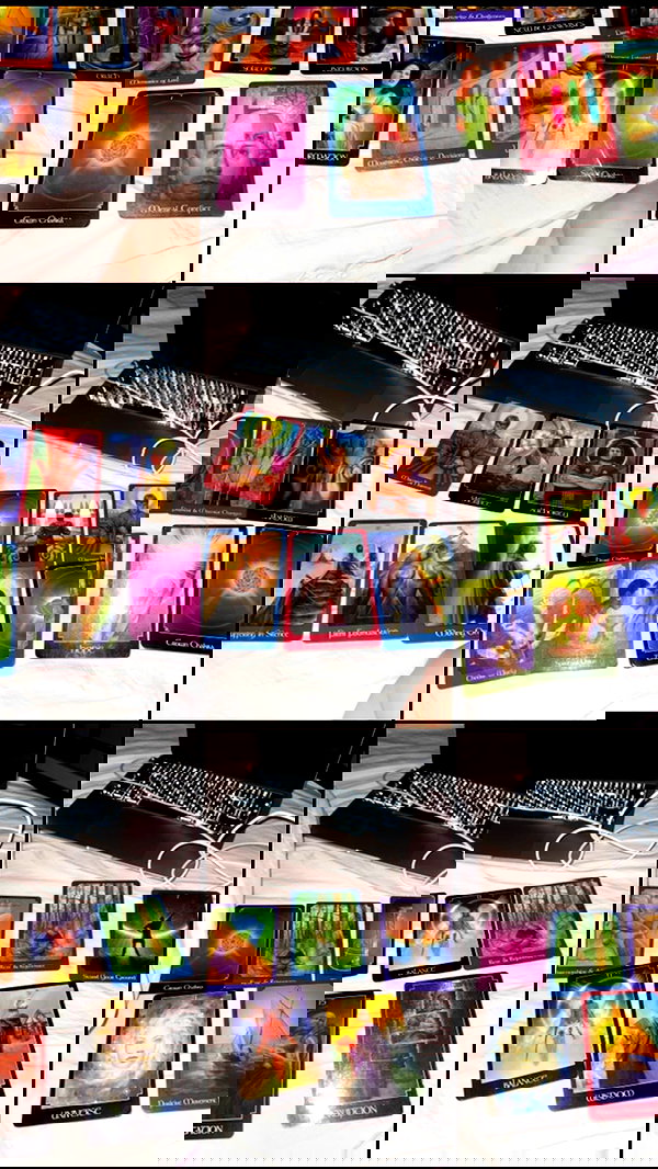 orchidmurmur orchidmurmur archive image