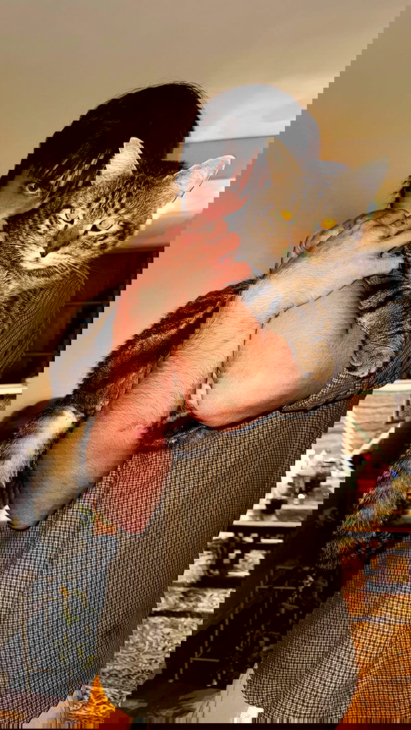 orchidmurmur orchidmurmur archive image