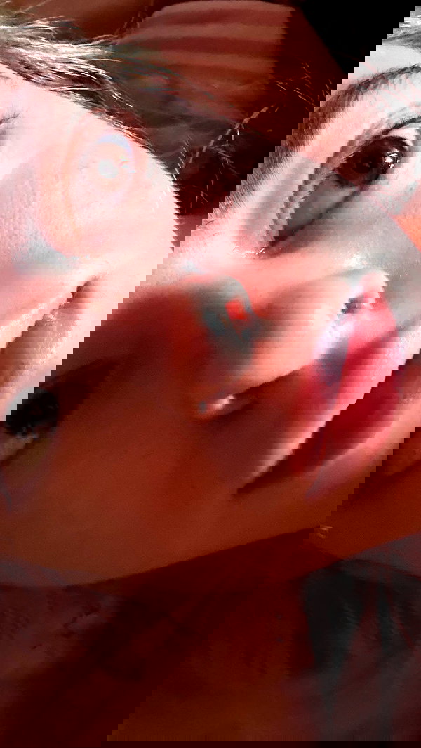 orchidmurmur orchidmurmur archive image