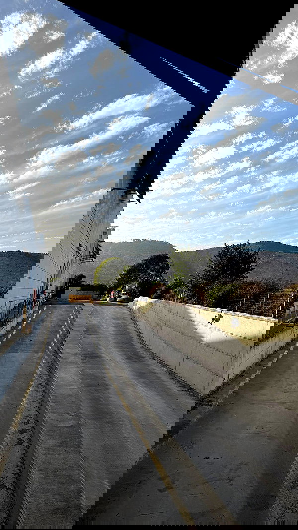 orchidmurmur orchidmurmur archive image