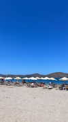 orcoheen Altpins Profile Picture