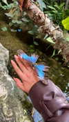 orcoheen Altpins Profile Picture