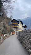 orcoheen Altpins Profile Picture