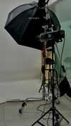 orin_kahlon_ Altpins Profile Picture