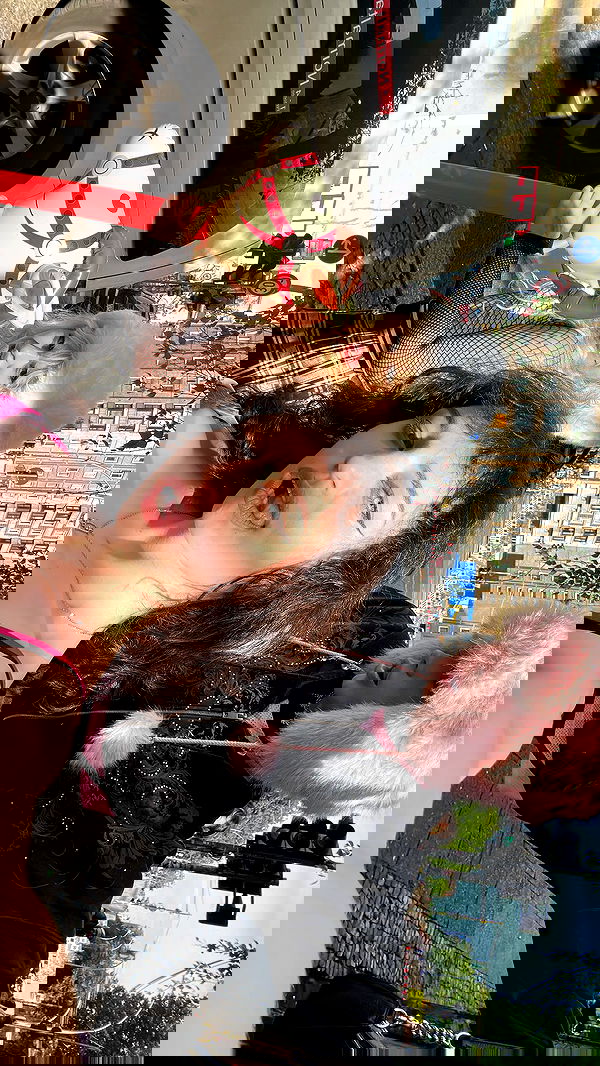 ormosheee ormosheee archive image