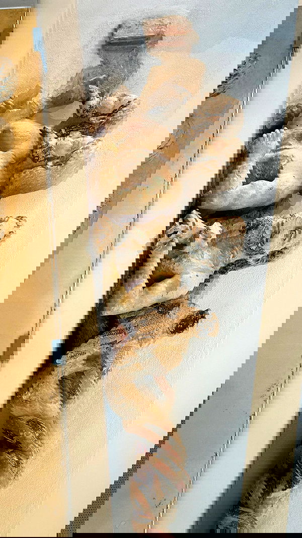 ormosheee ormosheee archive image