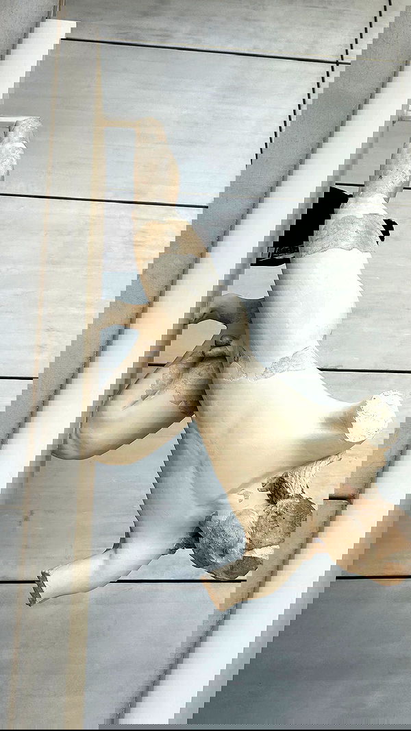 ormosheee ormosheee archive image