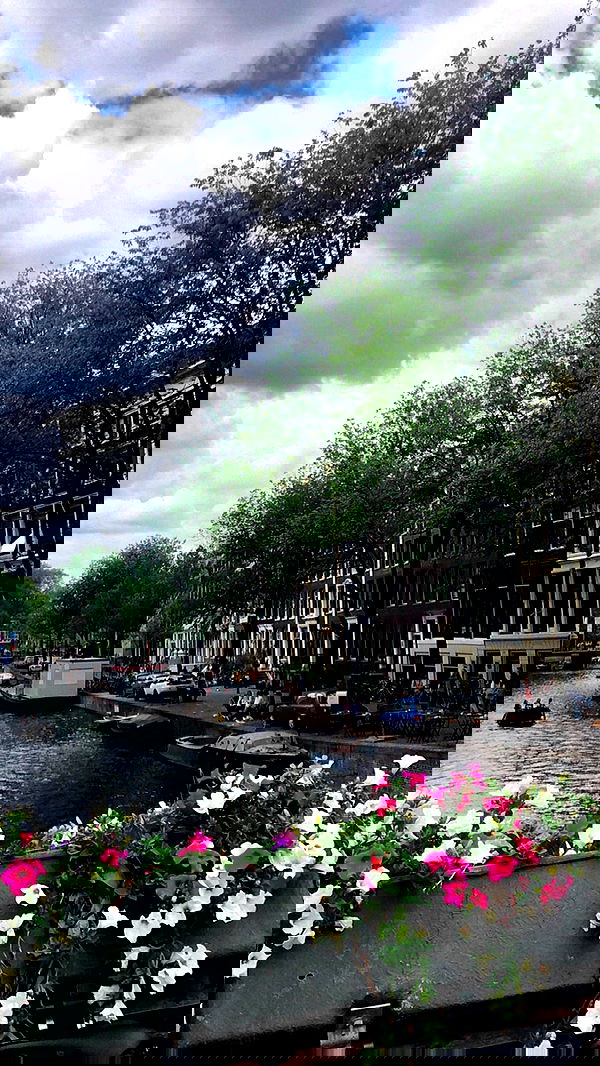 orya.xx image ~ Altpins