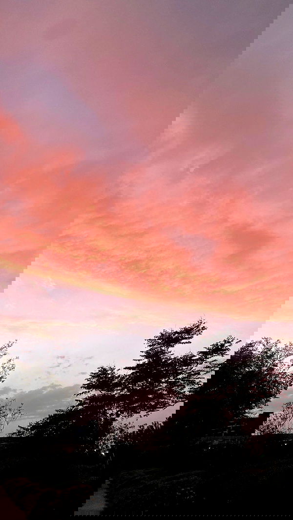 orya.xx image ~ Altpins