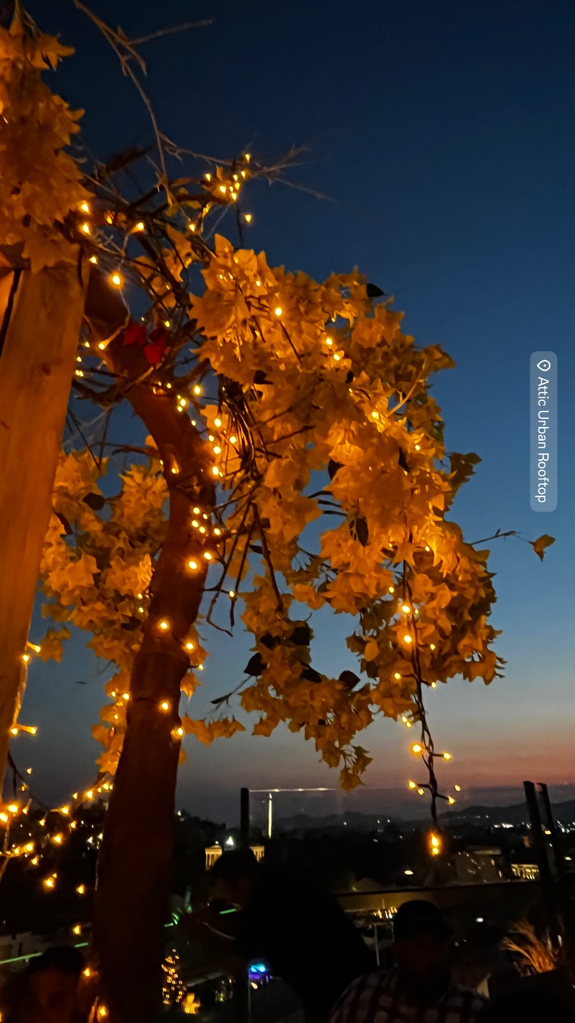 orya.xx instagram image archive image