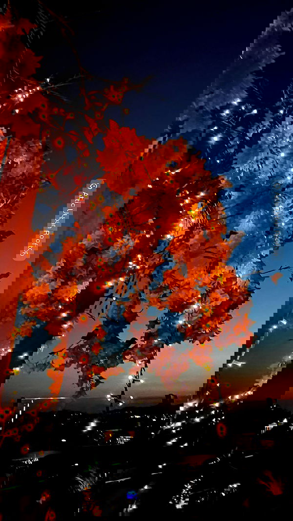 orya.xx image ~ Altpins