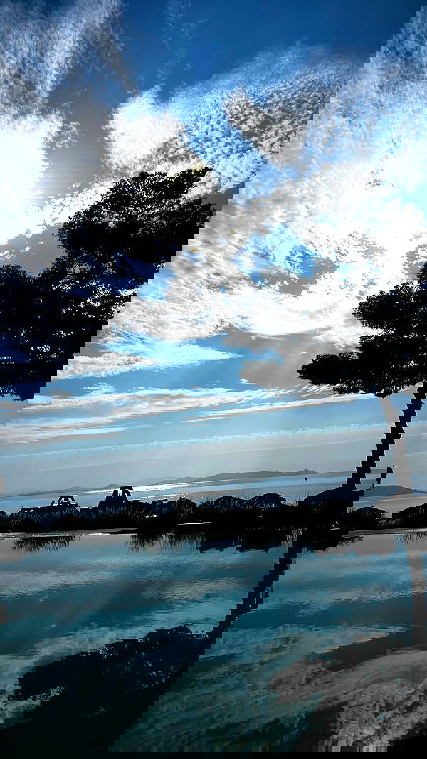 orya.xx image ~ Altpins