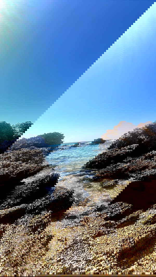 orya.xx image ~ Altpins