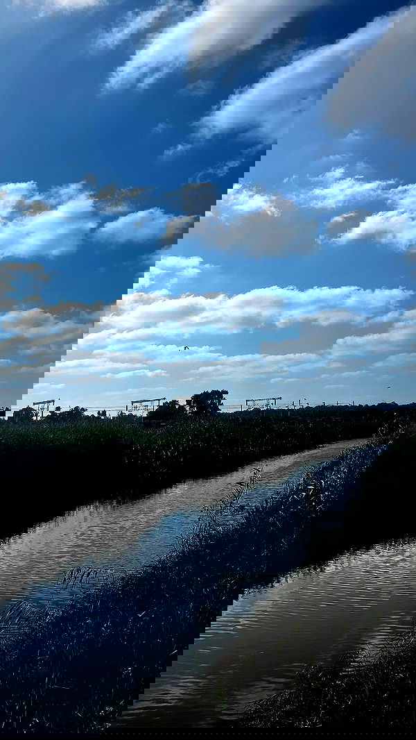 orya.xx image ~ Altpins