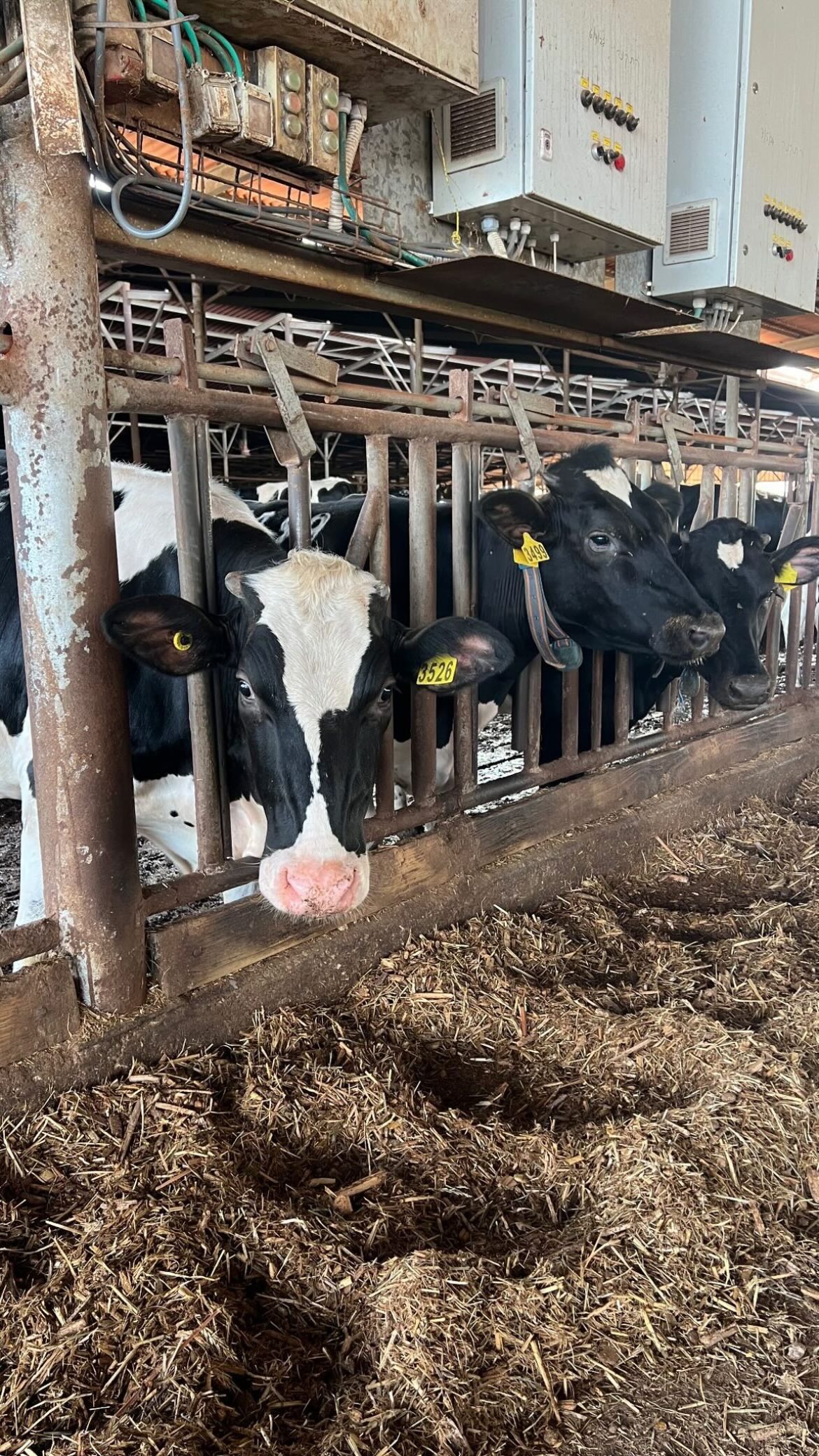 orya.xx instagram image archive image