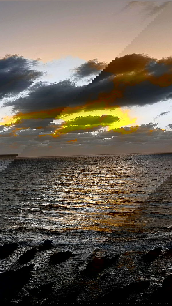 orya.xx image ~ Altpins