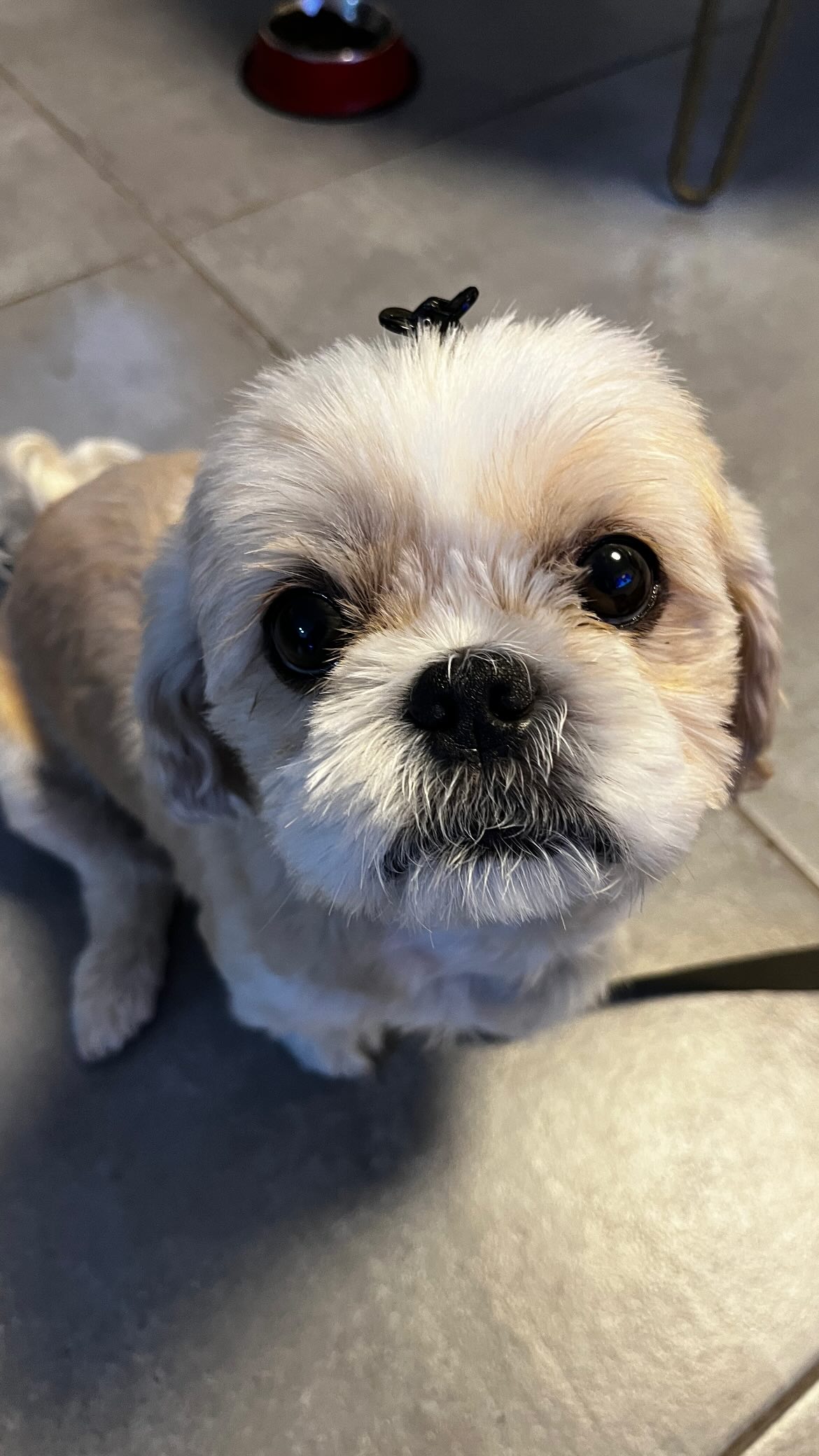 orya.xx instagram image archive image