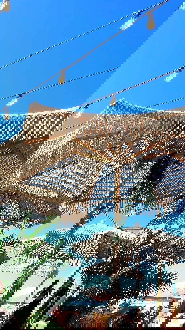 orya.xx image ~ Altpins