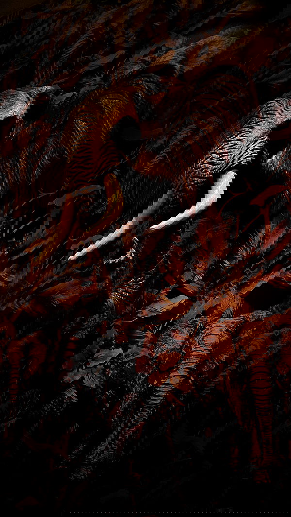 orya.xx image ~ Altpins