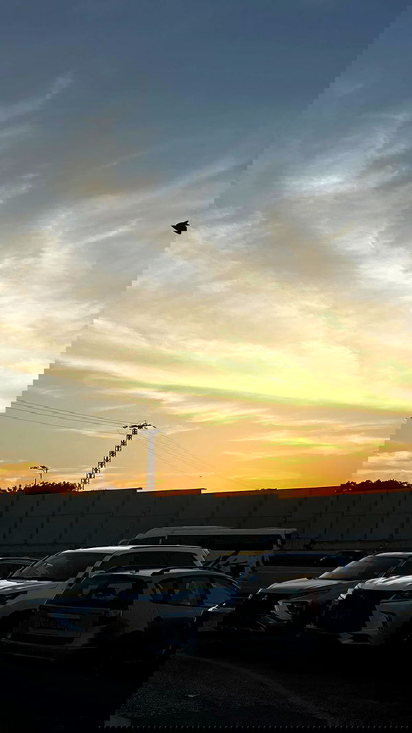 orya.xx image ~ Altpins