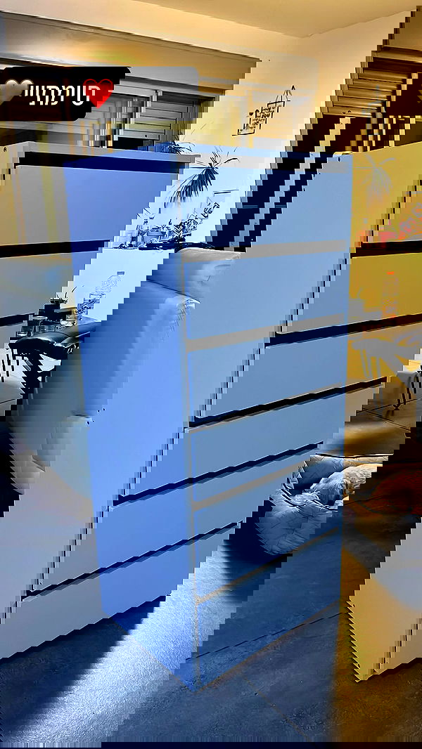 orya.xx image ~ Altpins