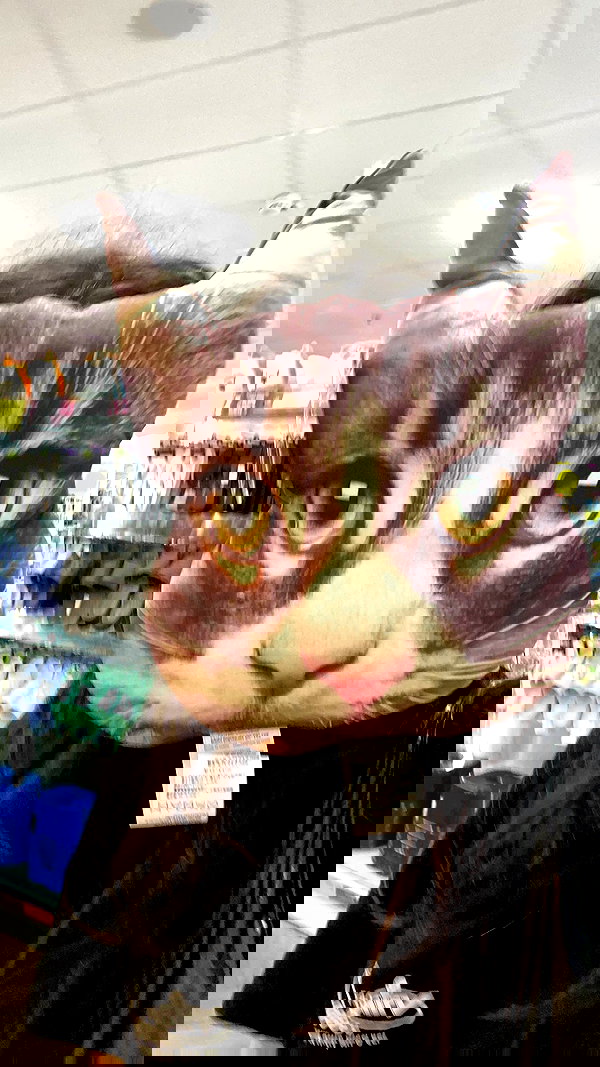 osher_yakir osher_yakir archive image