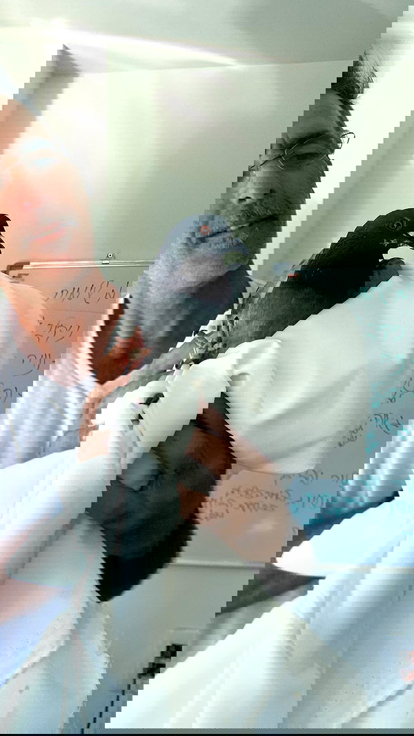 osher_yakir osher_yakir archive image