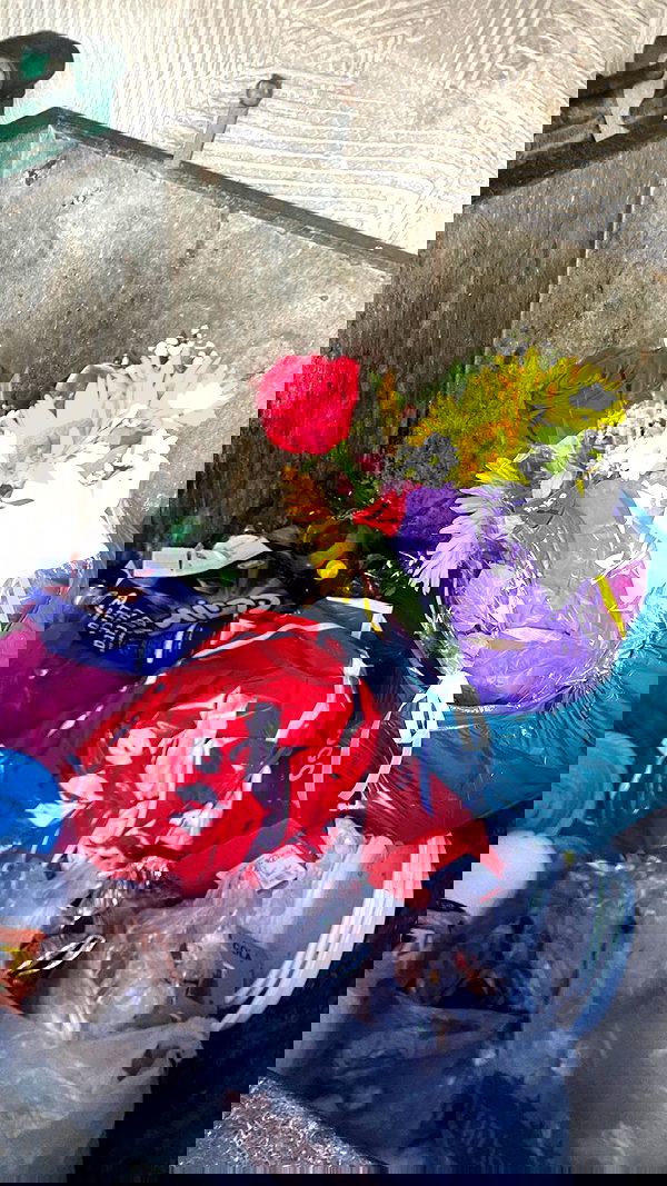 osher_yakir osher_yakir archive image