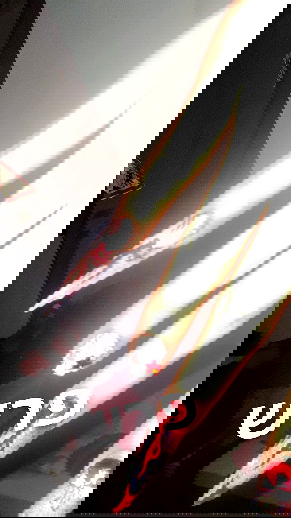 osher_yakir osher_yakir archive image