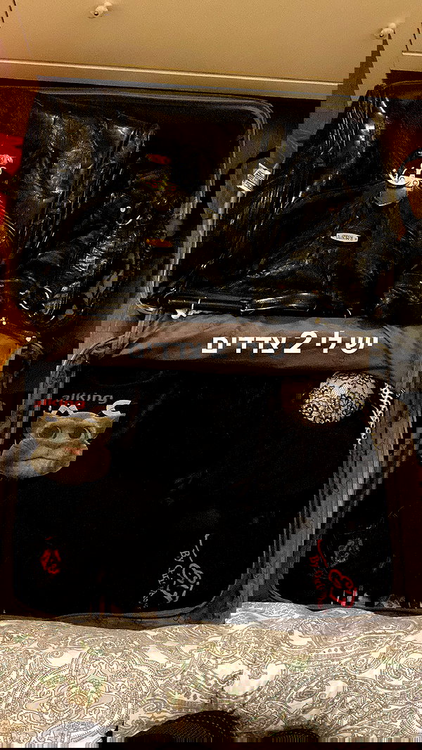 osher_yakir osher_yakir archive image