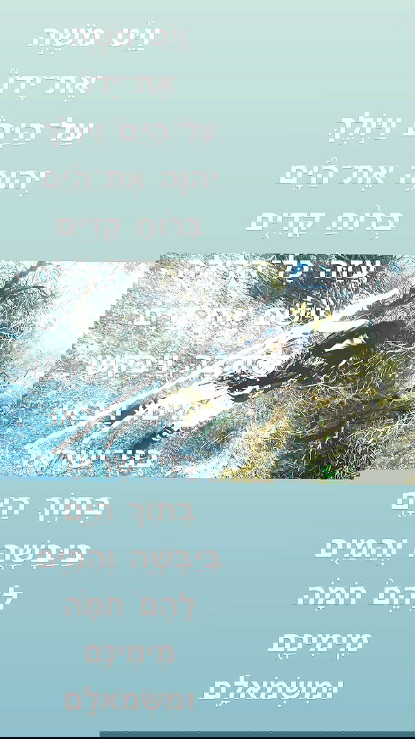 osher_yakir osher_yakir archive image