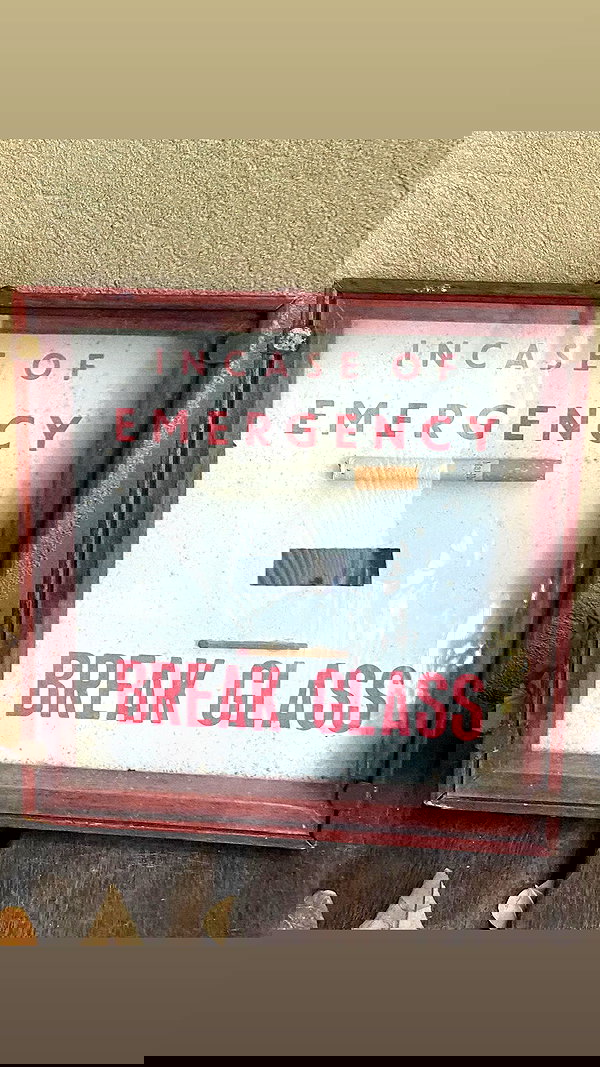 osher_yakir osher_yakir archive image