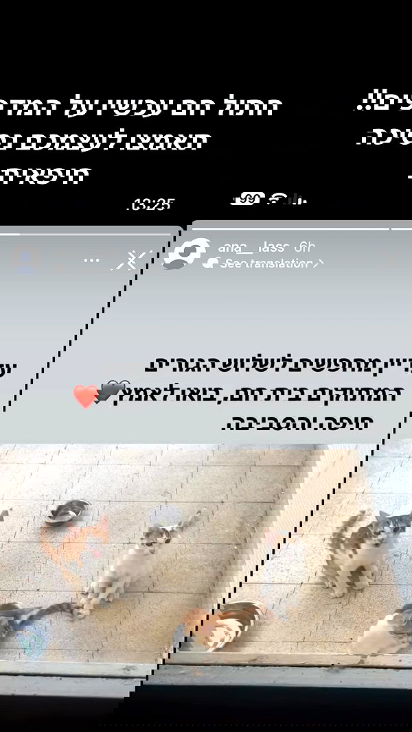 osher_yakir osher_yakir archive image