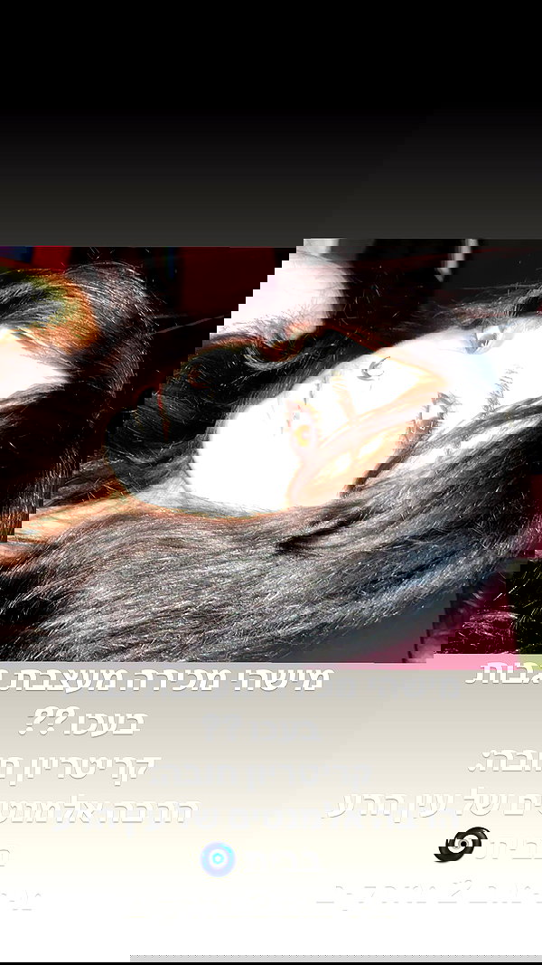 osher_yakir osher_yakir archive image