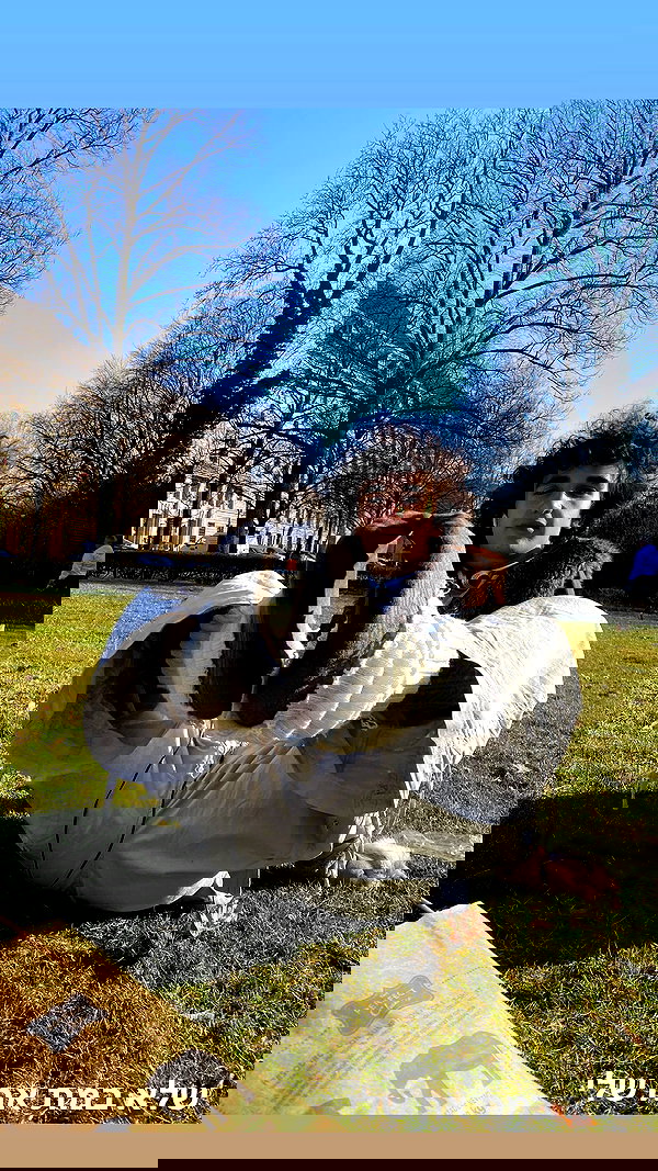 osher_yakir osher_yakir archive image