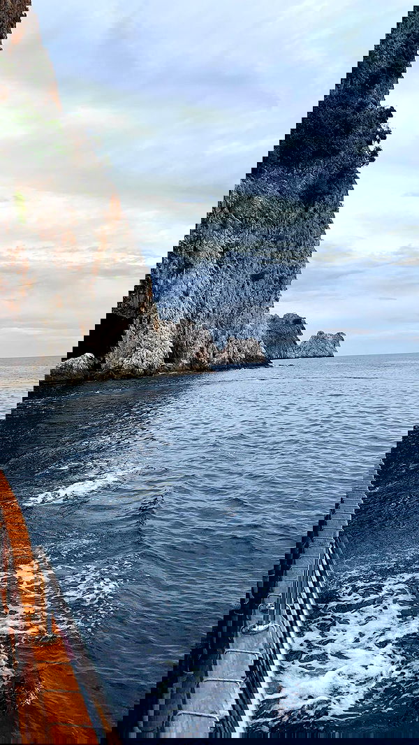 paula_valentina_gomez image ~ Altpins