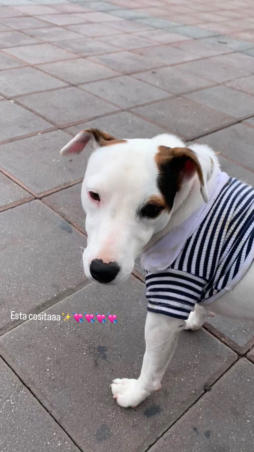 paula_valentina_gomez instagram image archive image