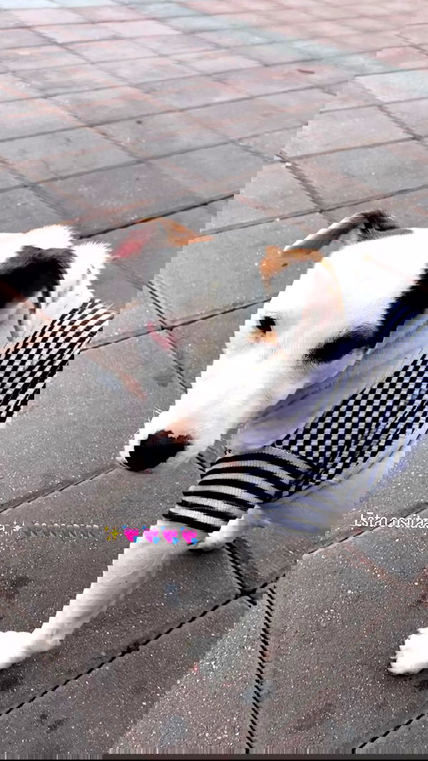 paula_valentina_gomez image ~ Altpins