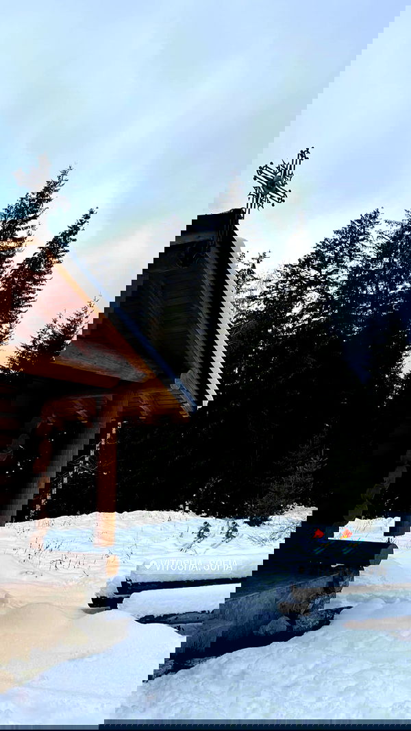 paula_valentina_gomez image ~ Altpins