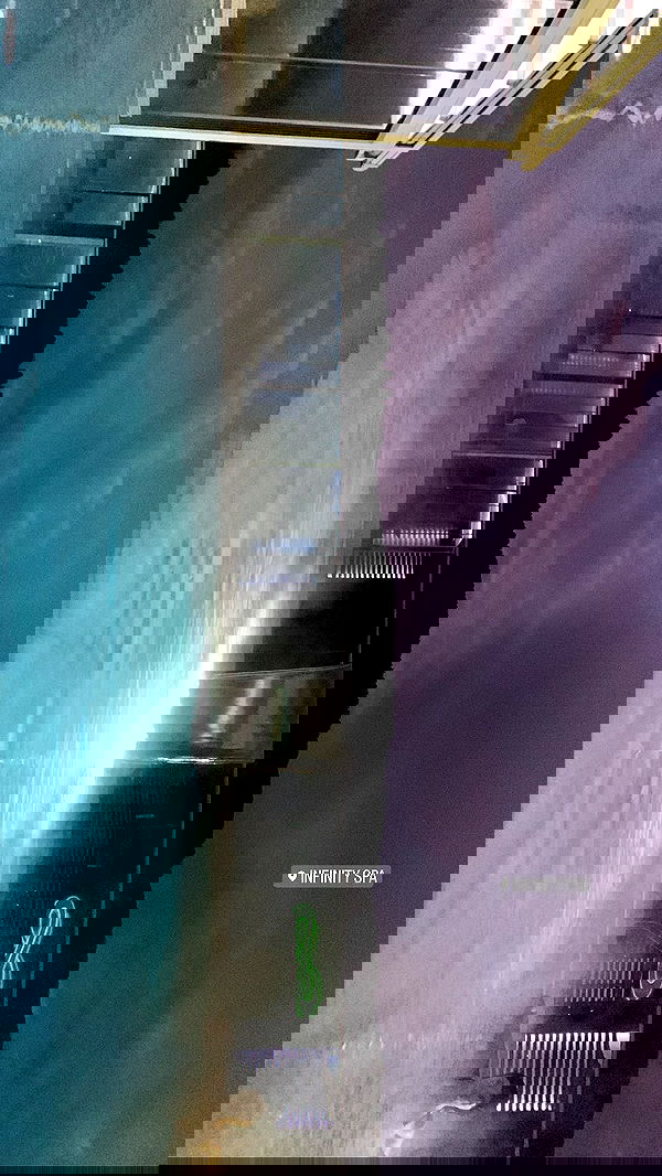 paula_valentina_gomez image ~ Altpins