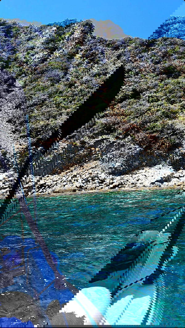 paula_valentina_gomez image ~ Altpins