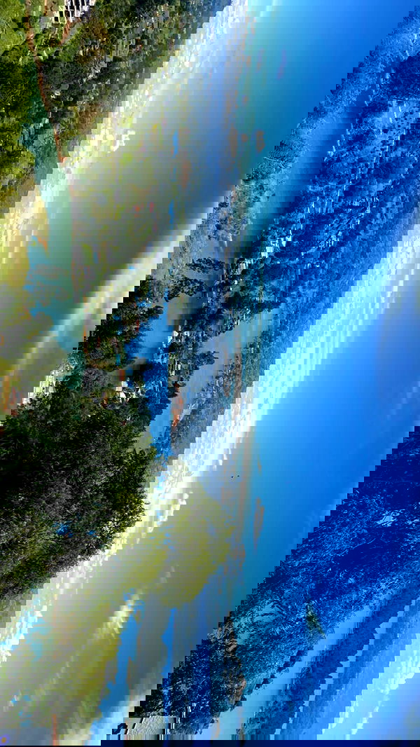 paula_valentina_gomez image ~ Altpins