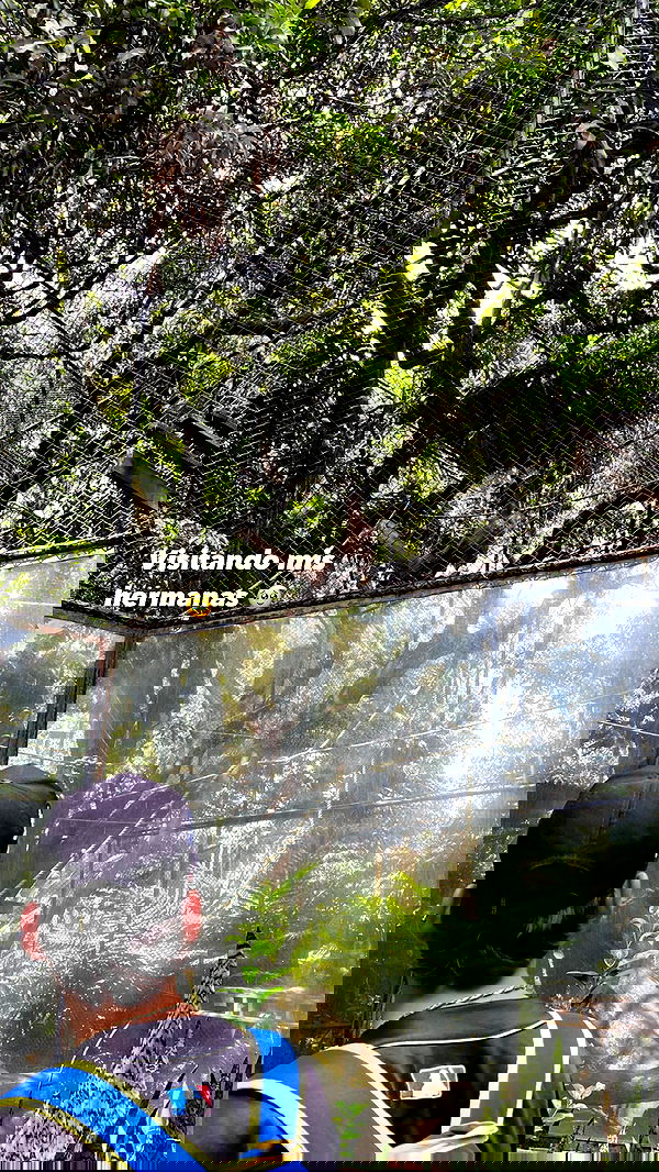 paula_valentina_gomez image ~ Altpins