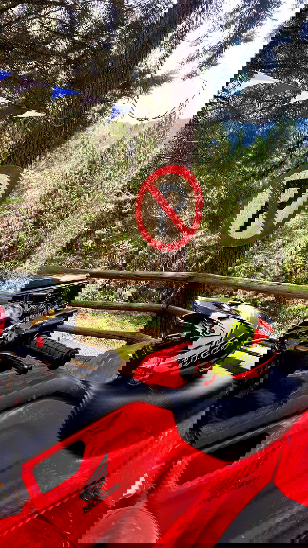 paula_valentina_gomez image ~ Altpins